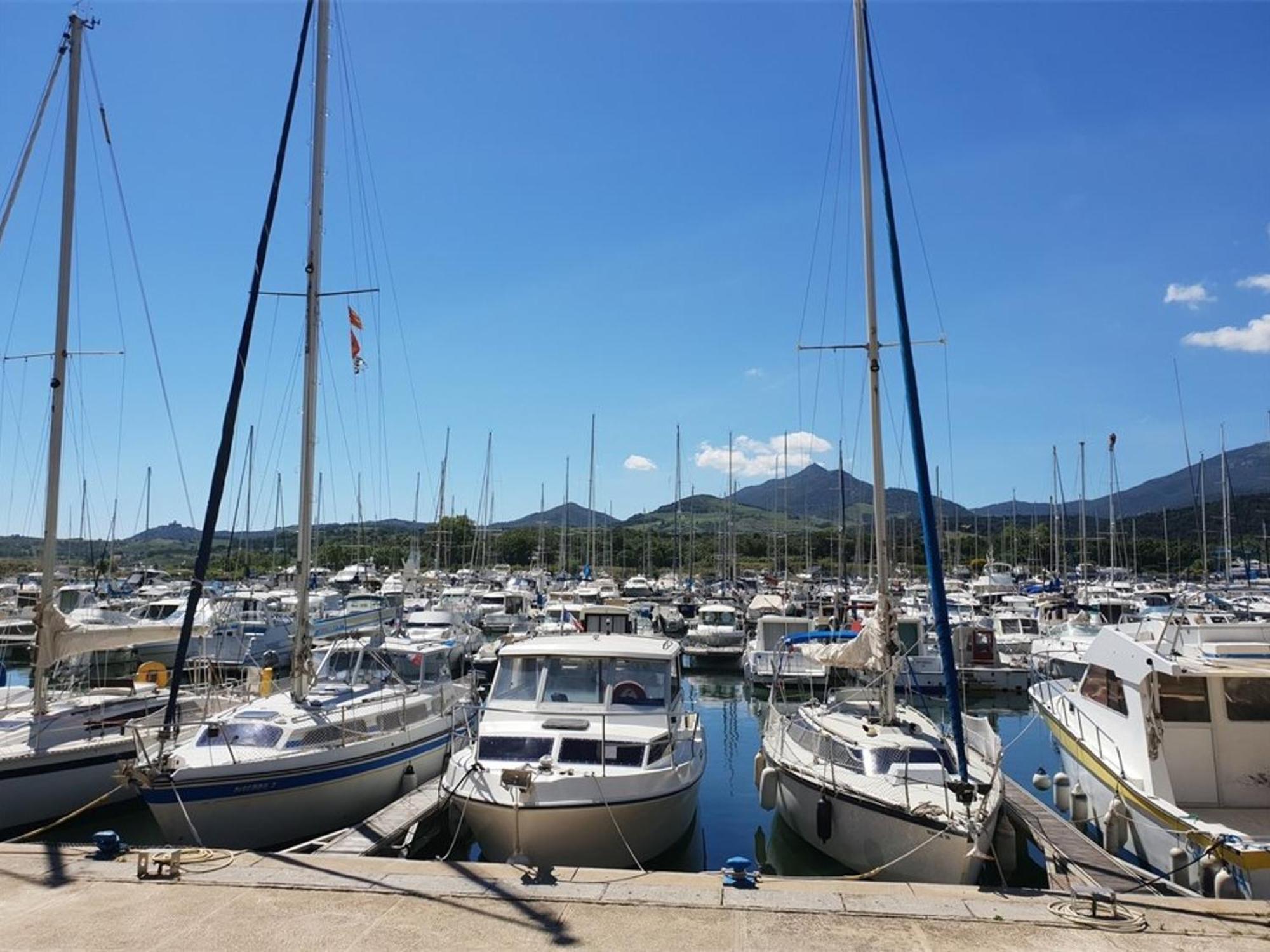 Appartement Climatise A Argeles-Sur-Mer Avec Parking - 4 Couchages - Fr-1-388-52 المظهر الخارجي الصورة